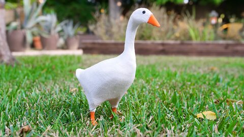 Goose Revival