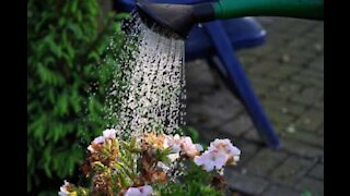 Man does a little gardening during Storm Dennis