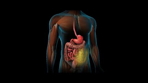 Opciones de tratamiento para la diabetes tipo 2