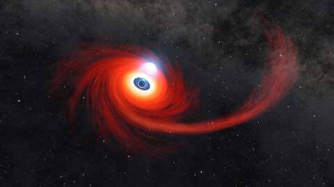 What If You Fell Into a Black Hole