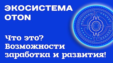 OTON Экосистема, что это, возможности заработка и развития / Бизнес в сети / Заработок в интернете