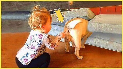 BEST Video Of Cute Baby Playing With Dog -- 5-Minute Fails