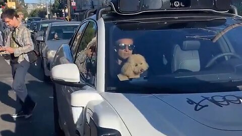 Man Clutches His Dog Inside Self-Driving Taxi As Thugs Graffiti All Over Vehicle In San Fransh!thole