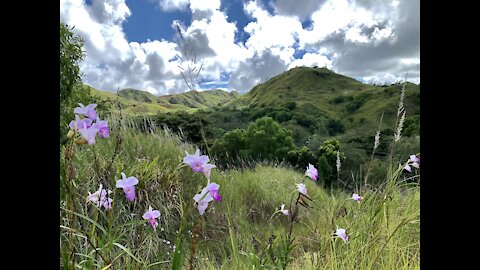 Mount Lam Lam, Guam's Highest Peak