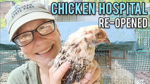 Chicken Hospital Re-Opened!