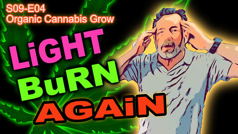 S09 E04 - Day 28 Of Our Cannabis Grow - Week 3 In Pots - Changed The Light Cycle - Light Burn Again