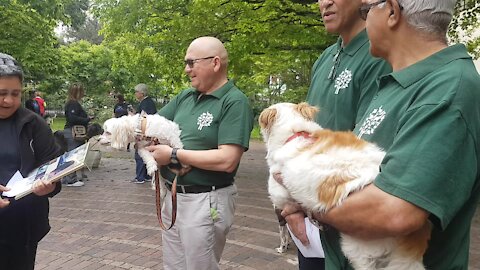 SOUTH AFRICA - Cape Town - Blessing of the Animals service at St George's Cathedral (Video) (u8X)