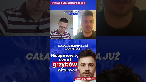 Grzyby działają jak antybiotyk, ALE ...