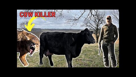 Hunting Down the Cow Killers!! Predator Trapping Adventure Ep.13