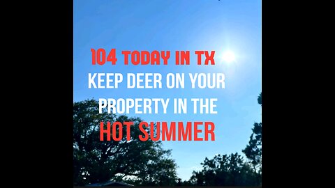 Keeping Deer On Your Property In The HOT Summer