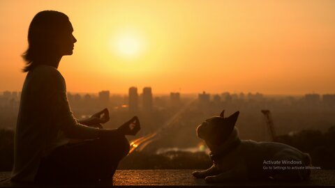 Girl with his dog watching the sunset on the horizon