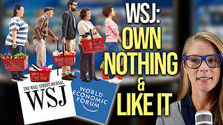 WSJ: own nothing & like it! || Chris Whalen CPA