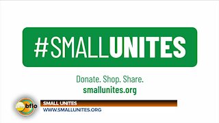 SMALL UNITES