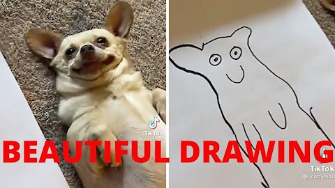 Guy made a funny drawing of his dog