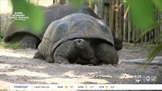 Walking Club: Exploring the walking trails at Busch Gardens