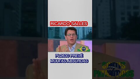 Ricardo Salles critica PL das Fake News