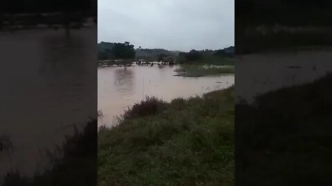 vida no campo, tem coisa melhor que isso?(2)