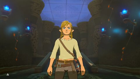 Breath of the Wild Master Mode 1