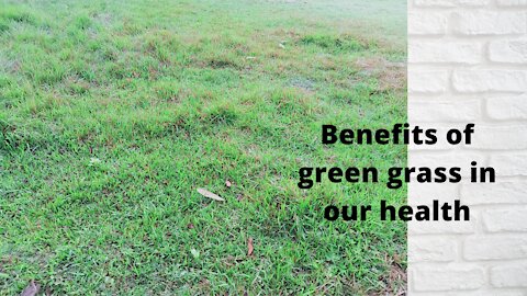 Benifit of green grass in our health