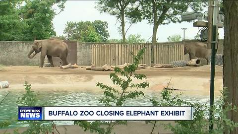 Buffalo Zoo closing elephant exhibit