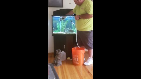 Cat fish best friends