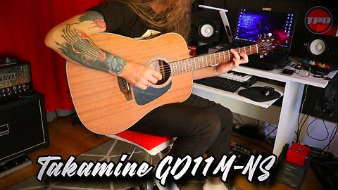 Guitar Setup - Takamine GD11M-NS - Elixir NanoWeb Phosphor Bronze (10-47)