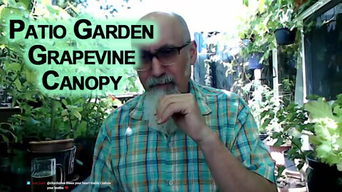 Our Patio Garden Grapevine Canopy: If You Play Hard, You Better have a Means to Chill Hard [ASMR]