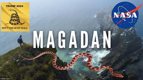 MAGADAN -The Tribe Of Dan - Don't Trust A Snake!