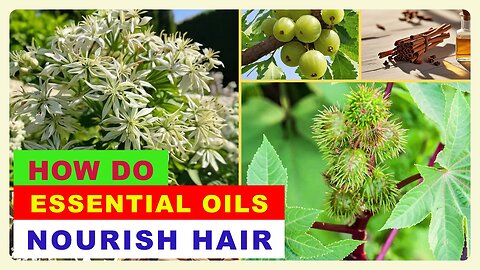 Nourish Your Hair Naturally: Harness the Benefits of Essential Oils for Vibrant Strands