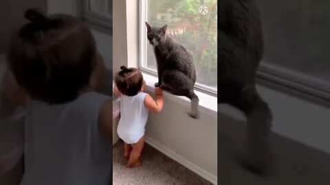 Mama Cat Takes Back Crying Kitten From Toddler #rumble | cat training | rumble news 2022 #short