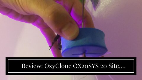 Review: OxyClone OX20SYS 20 Site, Compact Recirculating Cloning Propagation System, Heavy Yield...