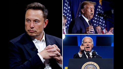 Musk's Stand: Blue State Advantage & Immigration