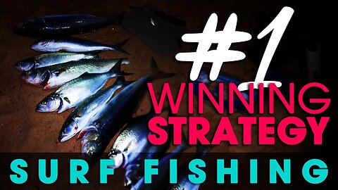 Do you need a WINNING fishing strategy?!