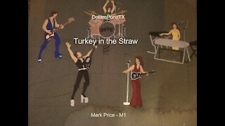 DreamPondTX/Mark Price - Turkey in the Straw (M1 at the Pond)