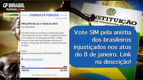 Vote SIM pela anistia dos brasileiros injustiçados nos atos do 8 de janeiro. Link na descrição!