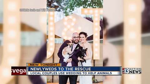 Las Vegas newlyweds give up wedding gifts in order to help shelter dogs