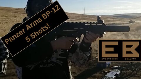 Panzer Arms BP-12 Gen 1 Mag Dump! - Everything Bullpup