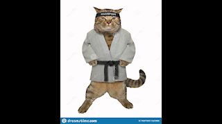 Cats applying jiu jitsu strokes