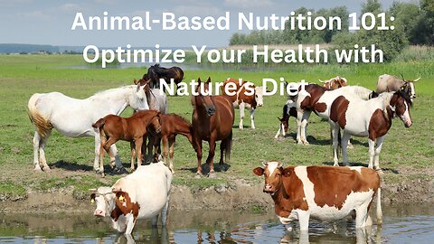 Animal Based Nutrition 101 Optimize Your Health with Nature's Diet