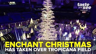 Get a look inside Enchant Christmas at Tropicana Field | Taste and See Tampa Bay