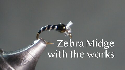 Zebra Midge (with the works)