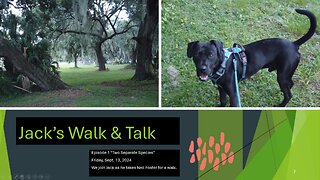 Neil Foster: Jack's Walk & Talk - "Two Separate Species" - Sept. 13, 2024