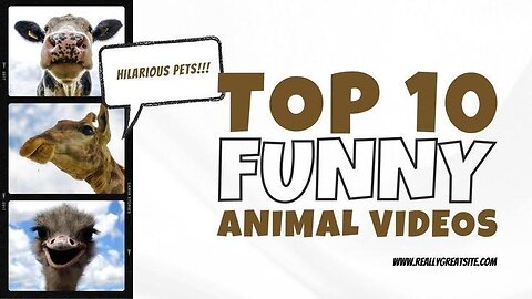 TOP 10 FUNNY ANIMALS VIDEOS 😂😂😂