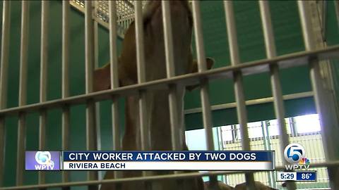 Riviera Beach city worker bitten by dogs, taken to hospital