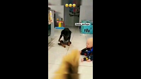 Dog Copying Kid funny 😂😂 video