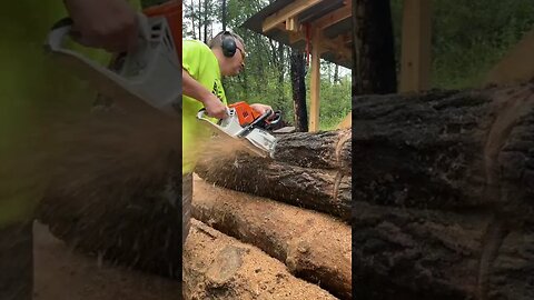 Chainsaw Eats Wood #Shorts #chainsaw #firewood