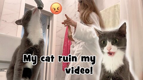 My cat ruined my video! ASMR cat purring