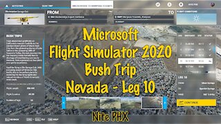 MSFS2020 Multiplayer Bush Trip Nevada Leg 10