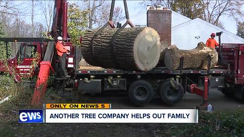 Local company removes tree that fell on Sagamore Hills home, injuring elderly man, for free