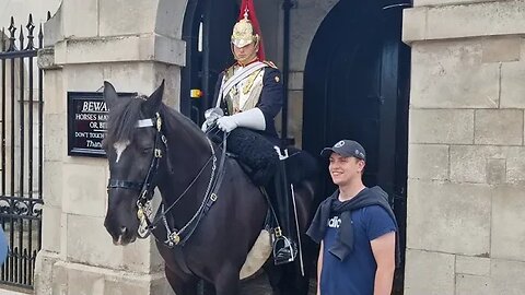 Another rein toucher #horseguardsparade